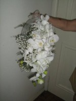 /album/buqu%c3%aa%20cascata%20%28click%20aqui%20e%20escolha%20o%20seu%29/cod-06c-orquidea-branca-e-musquitinho-jpg/